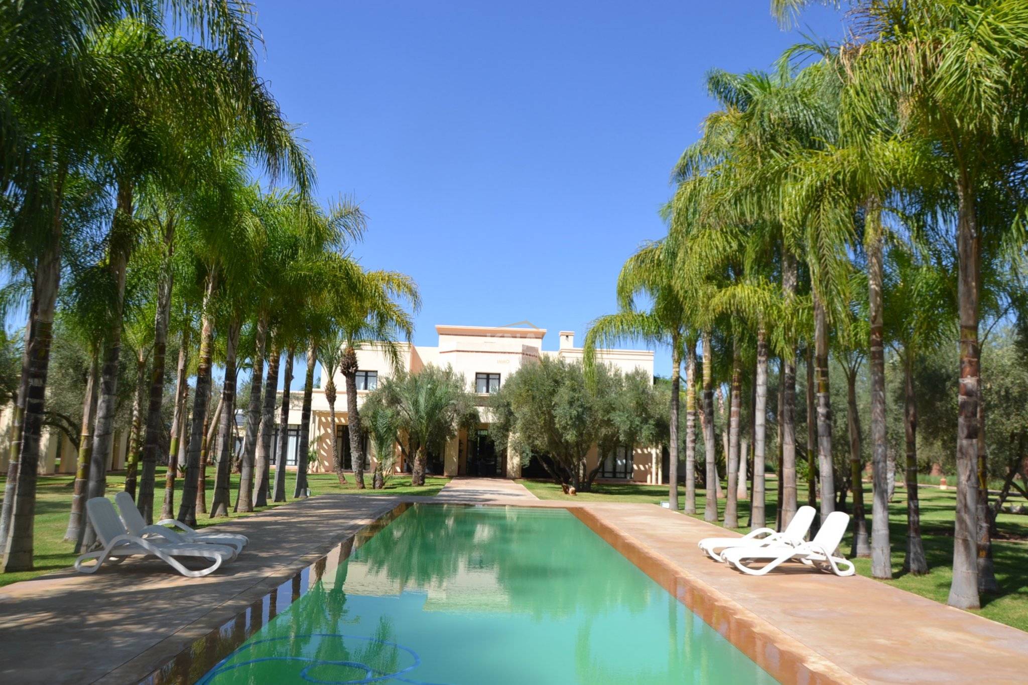 Superbe Villa au sein d’un très beau parc arboré de 100-120 oliviers Achat Achat Villa à Route de Ouarzazate Marrakech