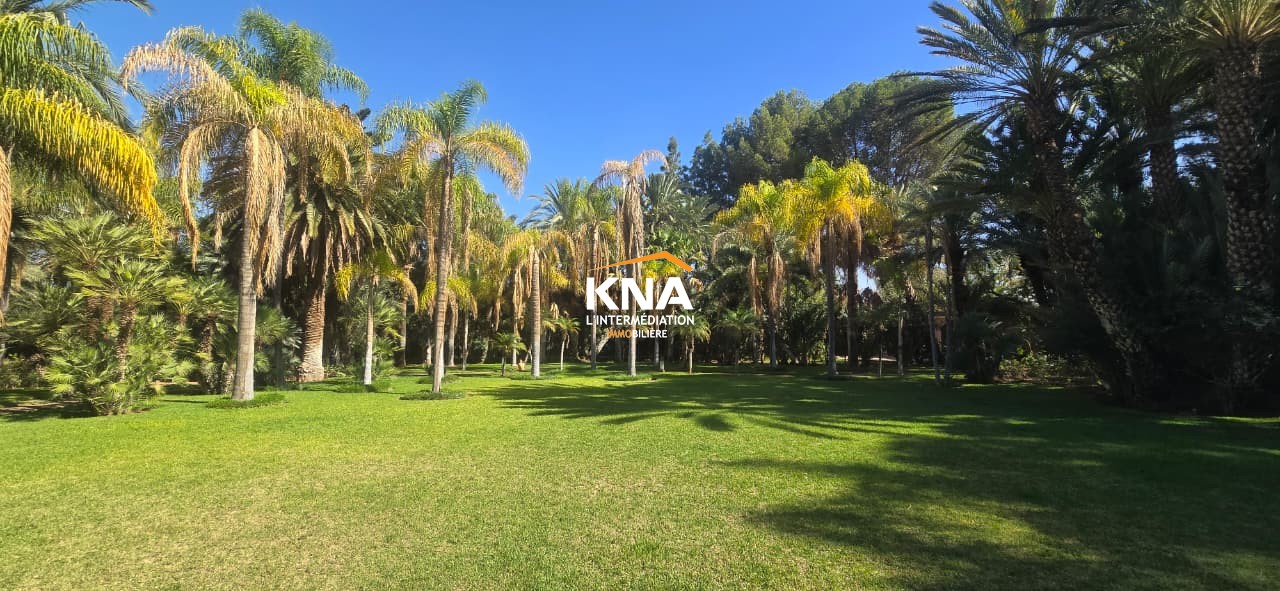 Villa, Palmeraie Marrakech Maroc