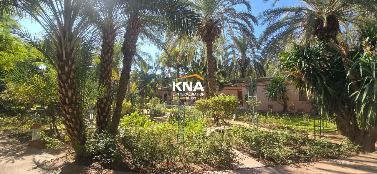 Villa, Palmeraie Marrakech Maroc