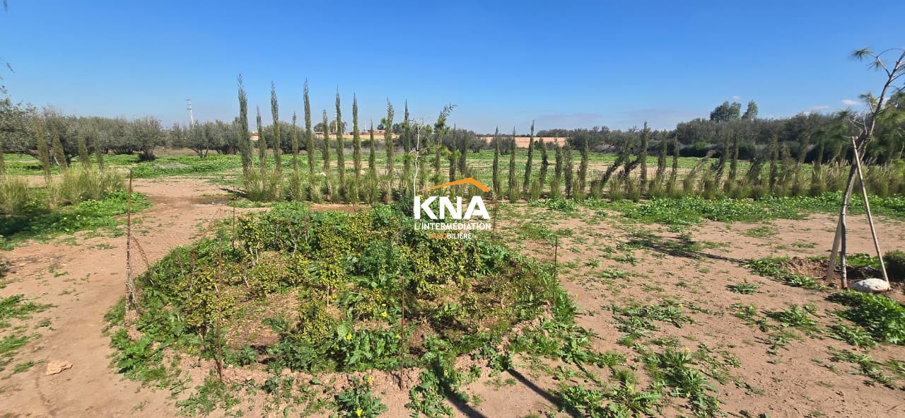 Villa, Amizmiz road Marrakech Morocco