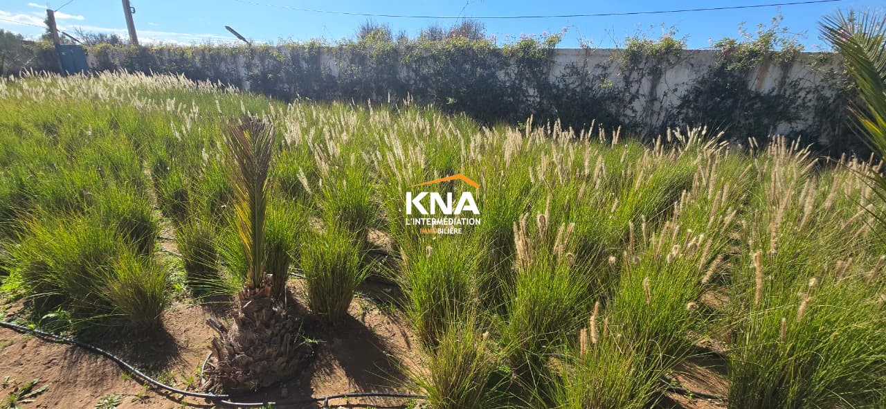 Villa, Amizmiz road Marrakech Morocco